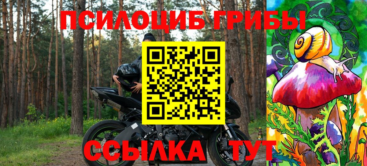 Галлюциногенные грибы мухоморы Жигулёвск